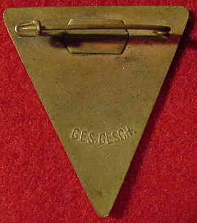 Nazi Frauenschaft Badge