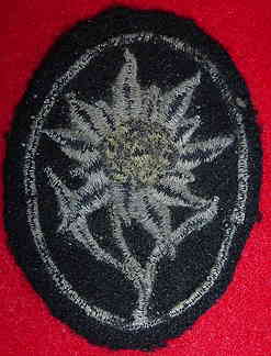 "SS Embroidered Patch"